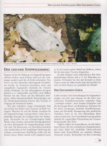 Steppenlemminge und andere Wühlmäuse